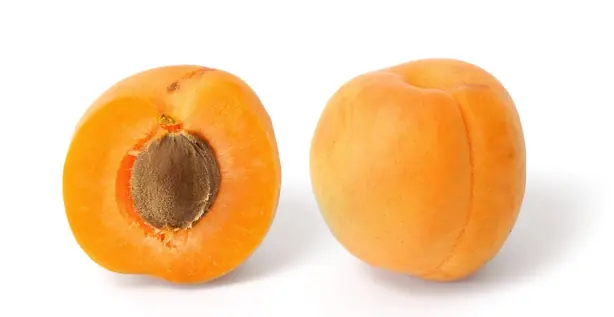 Cook Snap von kochcode-team