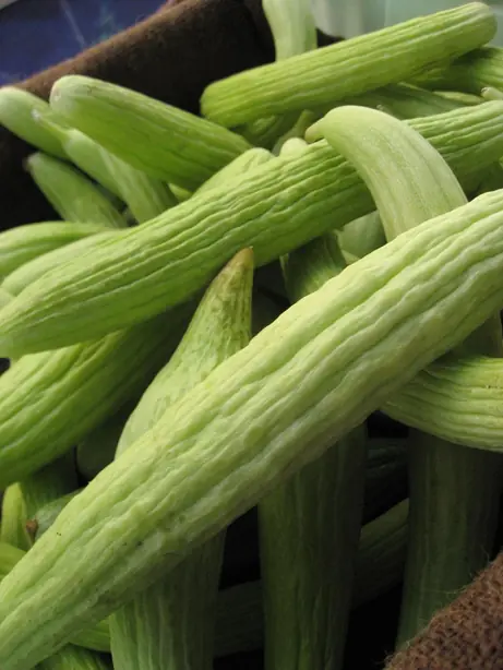 Cook Snap von kochcode-team