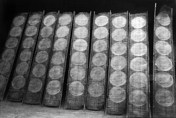 Foto von Vietnamesisches Reispapier Bánh Tráng selbstgemacht – fertig angerichtet