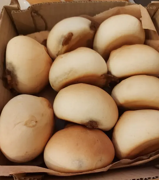 Baked Siopao – Foto: Marife.altabano (CC BY-SA 4.0)