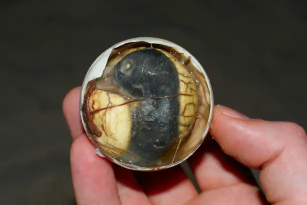 Foto von Philippinisches Chicken Adobo Klassisch – fertig angerichtet