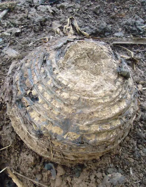 Cook Snap von kochcode-team