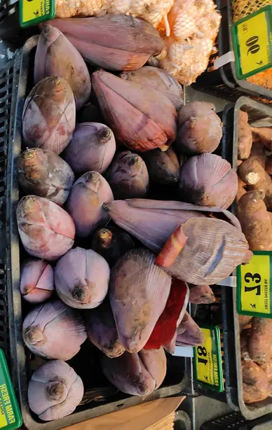 Cook Snap von kochcode-team