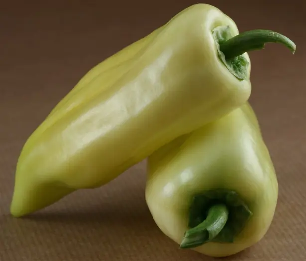 Cook Snap von kochcode-team