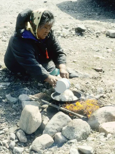 Cook Snap von kochcode-team