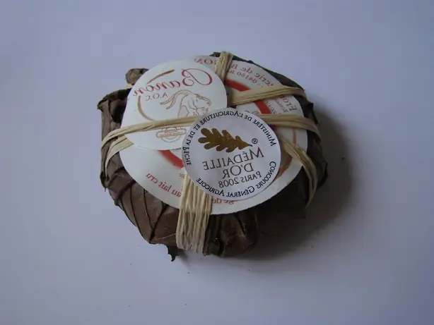 Cook Snap von kochcode-team