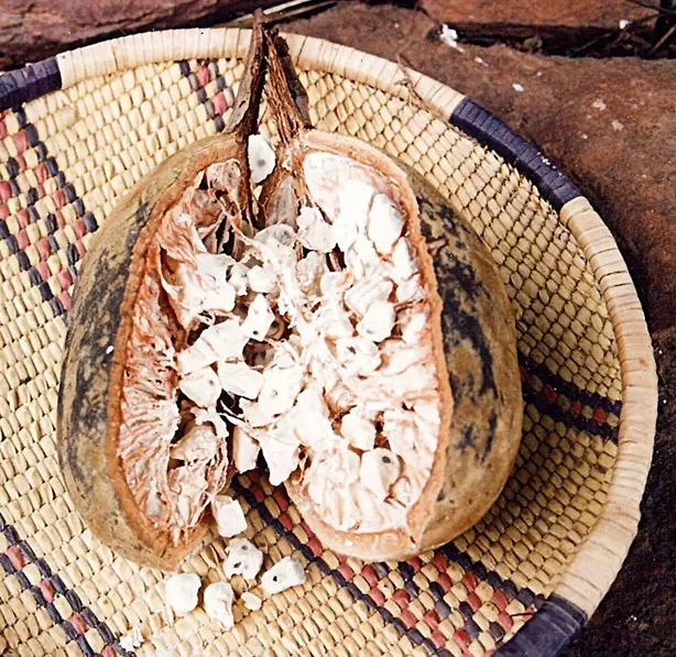 Foto von Burkinabé Riz Gras mit Hähnchen – fertig angerichtet