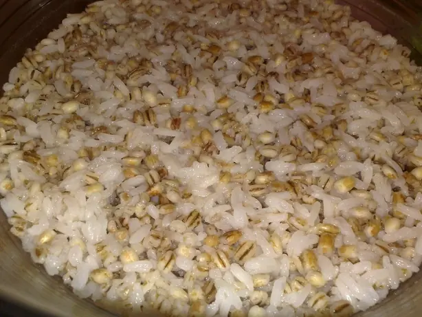 Cook Snap von kochcode-team