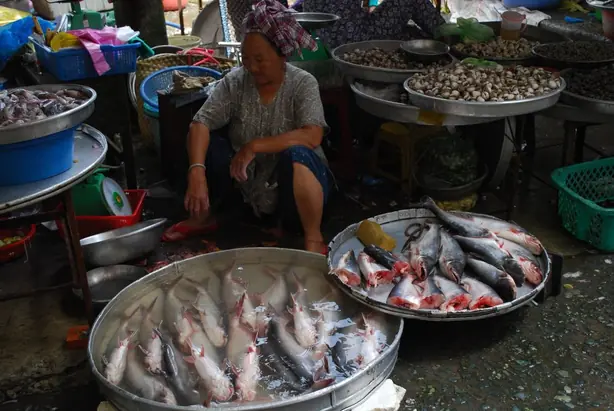 Cook Snap von kochcode-team