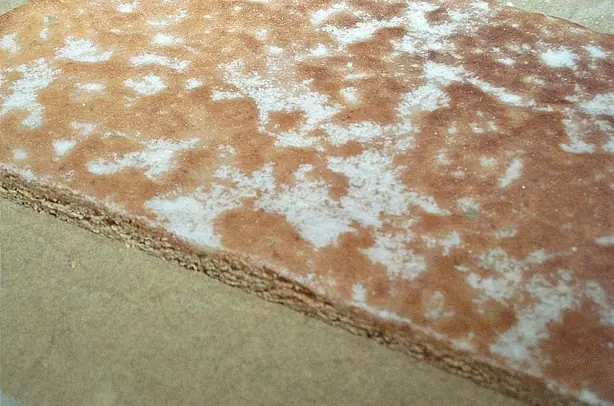 Cook Snap von kochcode-team