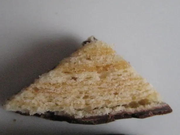 Cook Snap von kochcode-team