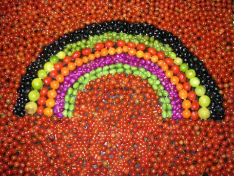 Cook Snap von kochcode-team