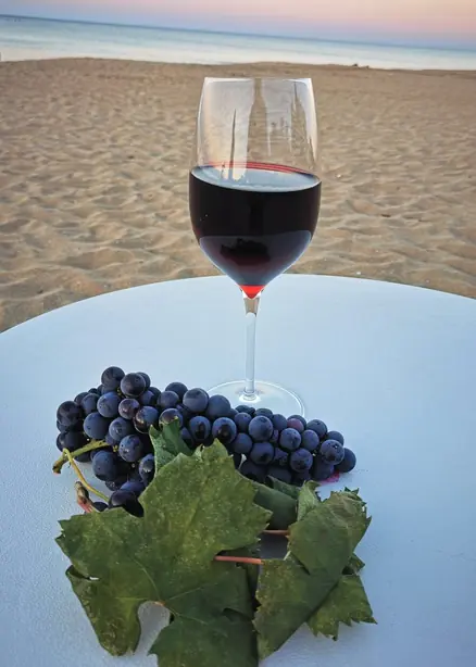 Bicchiere di Primitivo – Foto: Saggittarius A (CC BY-SA 4.0)