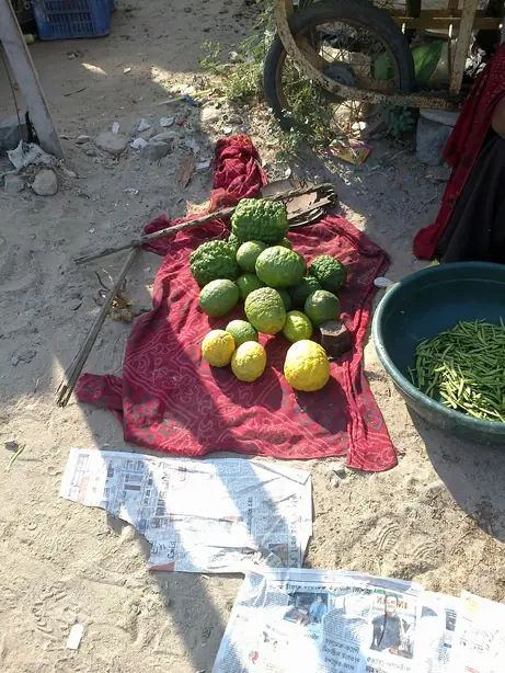 Cook Snap von kochcode-team