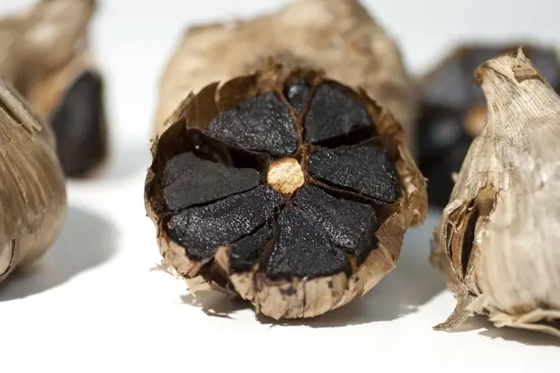 Foto von Mayu – Schwarzknoblauchöl für Ramen – fertig angerichtet