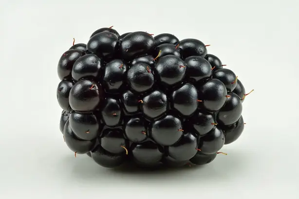 Cook Snap von kochcode-team