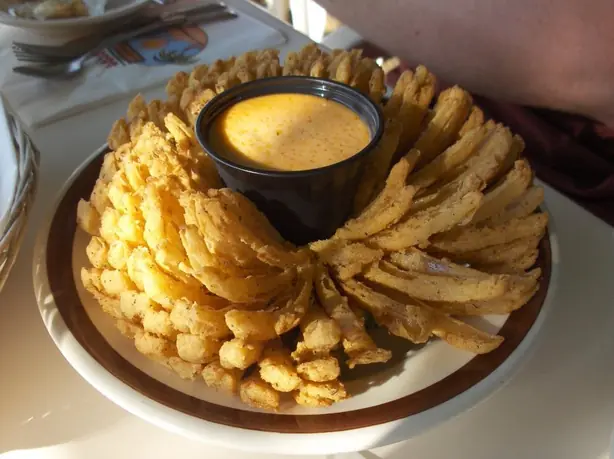 Foto von Amerikanischer Blühender Zwiebel – fertig angerichtet