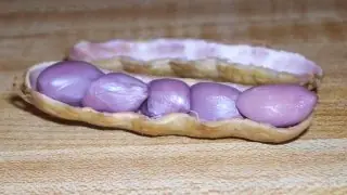 Cook Snap von kochcode-team