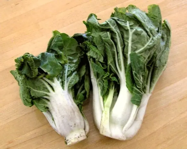 Cook Snap von kochcode-team