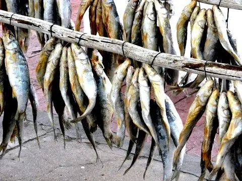 Foto von Südafrikanische Bokkoms (getrocknete Mulle) – fertig angerichtet