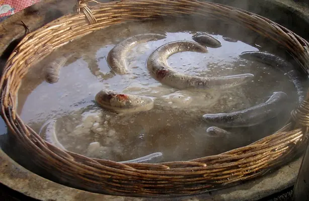 Cook Snap von kochcode-team