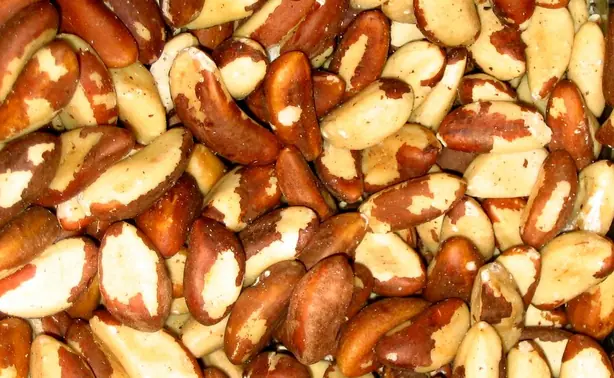 Cook Snap von kochcode-team