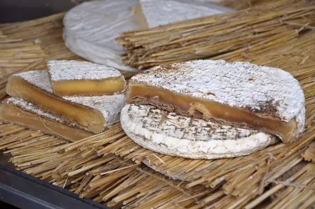 Cook Snap von kochcode-team