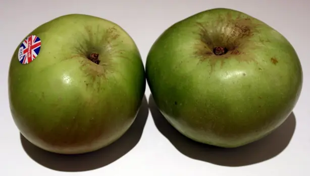 Cook Snap von kochcode-team