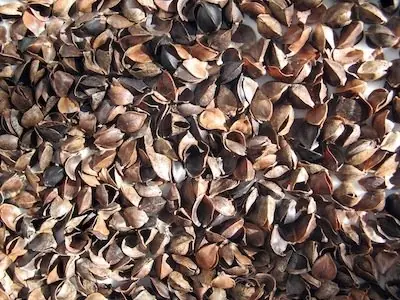 Cook Snap von kochcode-team