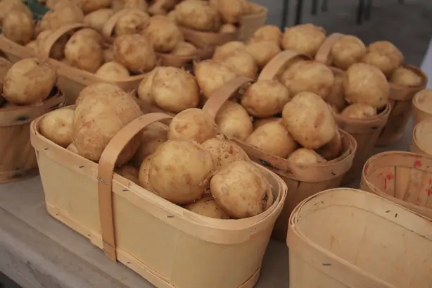 Cook Snap von kochcode-team