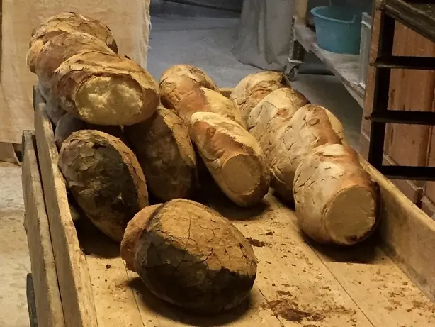 Foto von Maltesisches Sauerteigbrot Ħobż – fertig angerichtet