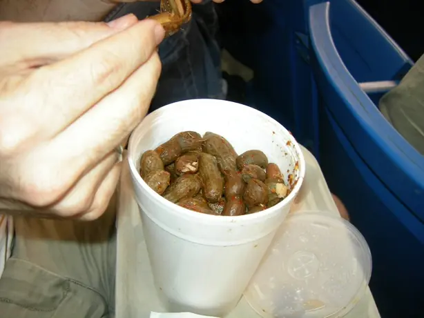 Cook Snap von kochcode-team