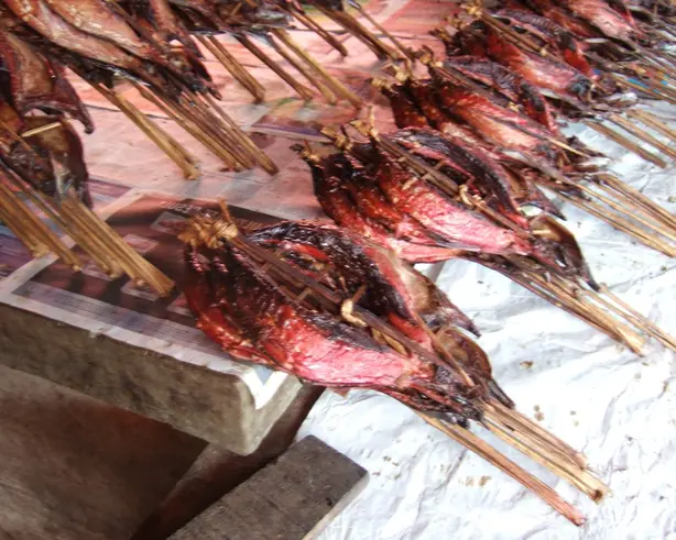 Foto von Indonesischer Cakalang Fufu – fertig angerichtet