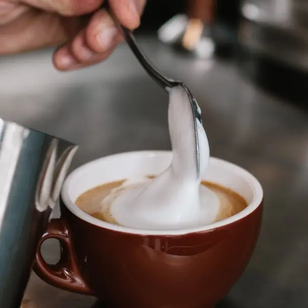 Cook Snap von kochcode-team