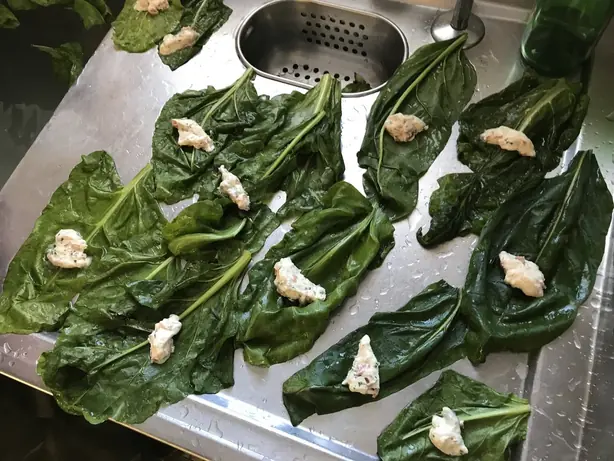 Cook Snap von kochcode-team