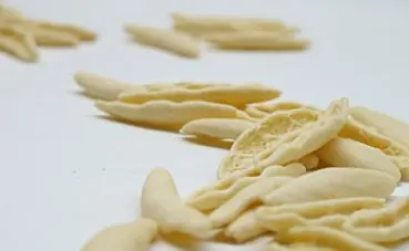 Foto von Apulische Capunti mit Tomatensugo – fertig angerichtet