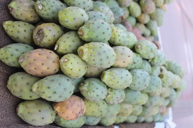 Cook Snap von kochcode-team