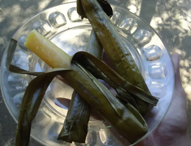 Cook Snap von kochcode-team