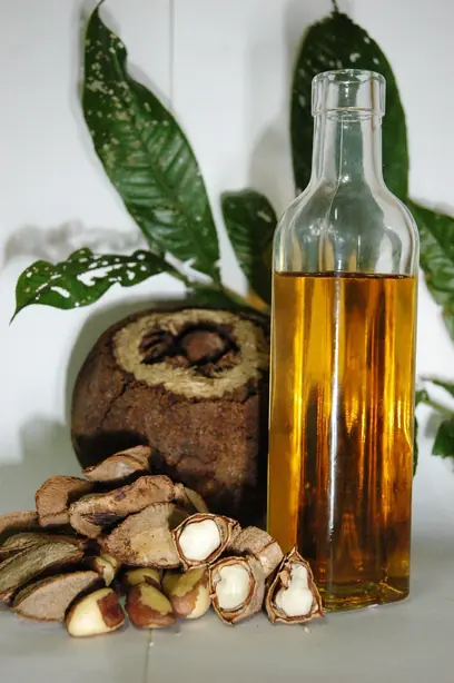 Cook Snap von kochcode-team