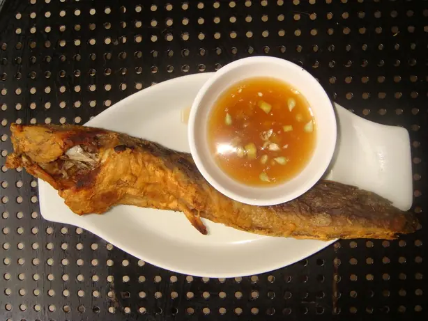 Catfishjf – Foto: Ramon FVelasquez (CC0)