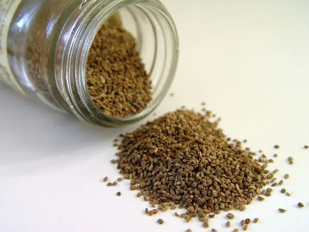 Cook Snap von kochcode-team