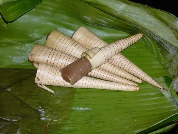 Foto von Indonesischer Clorot Reiskuchen – fertig angerichtet