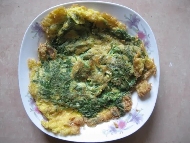 Cook Snap von kochcode-team