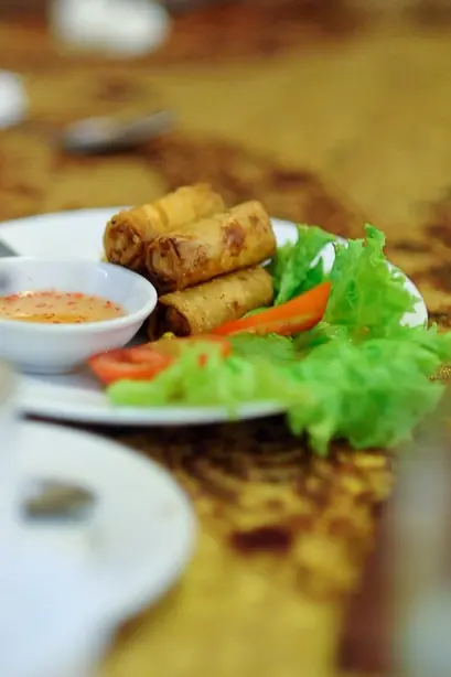 Foto von Vietnamesische Frühlingsrollen Chả Giò Klassisch – fertig angerichtet