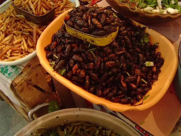 Foto von Mexikanische geröstete Chahuis – fertig angerichtet
