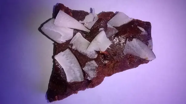 Cook Snap von kochcode-team