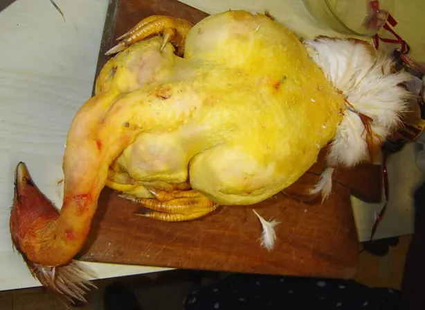 Cook Snap von kochcode-team