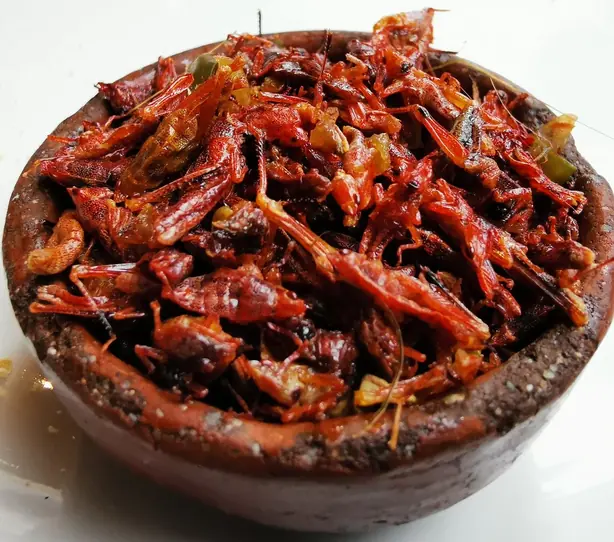 Cook Snap von kochcode-team