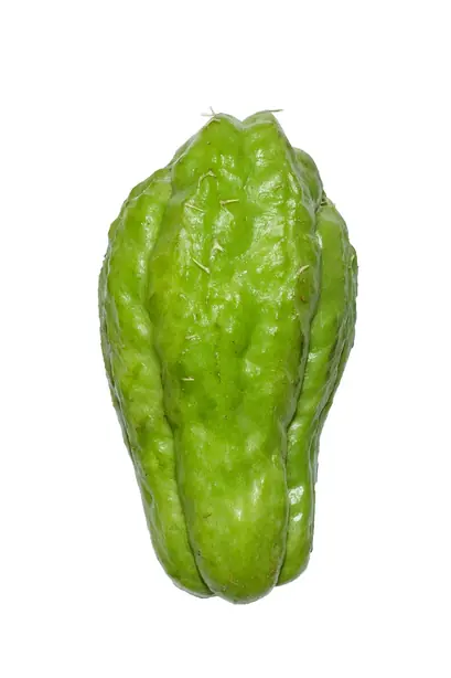 Cook Snap von kochcode-team