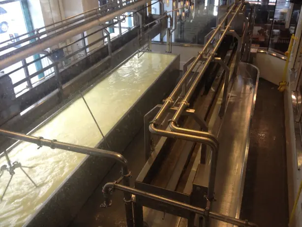 Foto von Amerikanische Frittierte Cheese Curds – fertig angerichtet